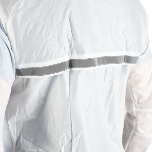 Parte posteriore schiena ripartita