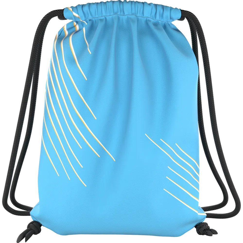 RDY51585311
