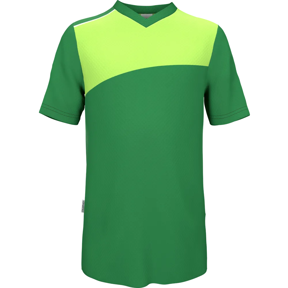Level