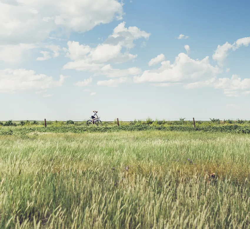 Un ciclista in un paesaggio rurale con erba alta e cielo blu, simboleggiando responsabilità ecologica e attività all'aria aperta.